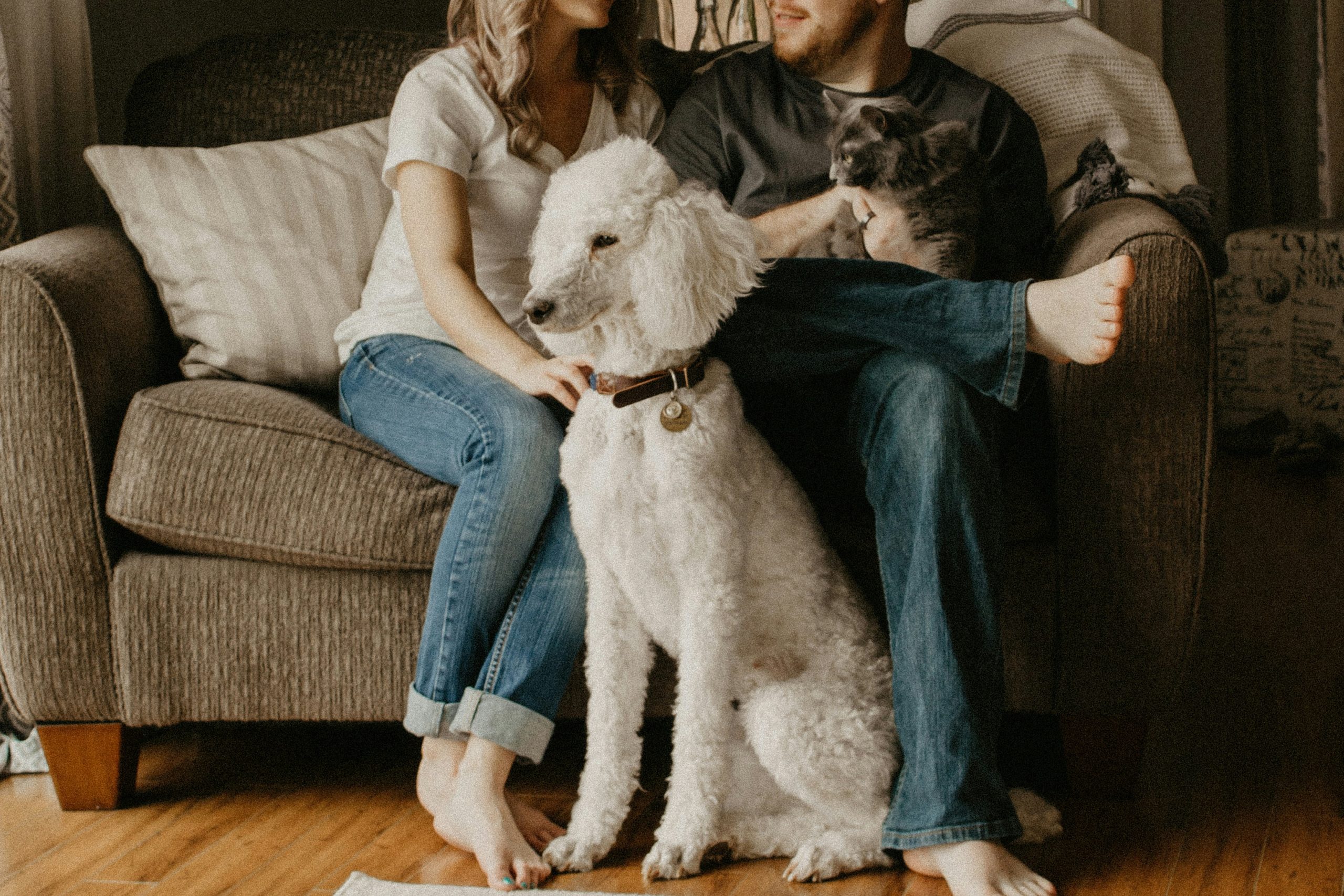 Healthy pet nutrition?>