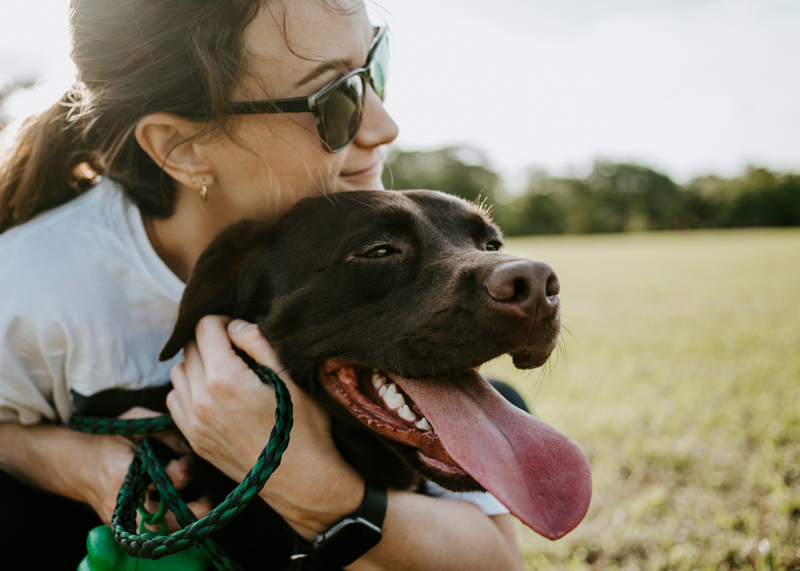 Pet training?>